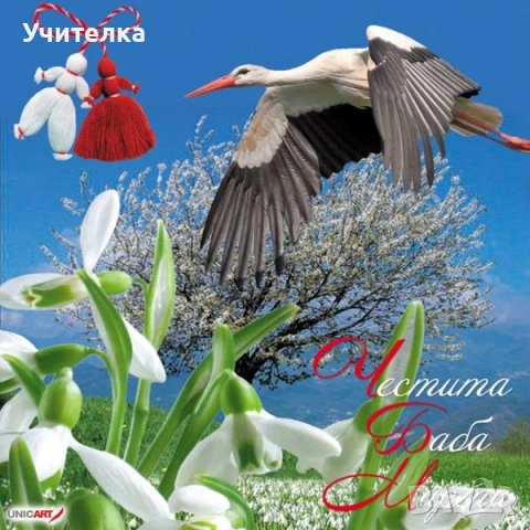 Уроци по математика Пловдив