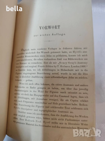 Антикварен медицински атлас по Анатомия (1875 г.) – Dr. Heitzmann, снимка 5 - Антикварни и старинни предмети - 53836569