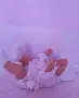 Реалистична бебе-кукла с дрешки,биберон,одеяло и кошара, снимка 5