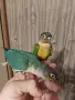 Ръчно хранени, социални пирури, снимка 10