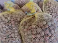 Продавам лешници , снимка 4