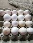 Продавам оплодени гъши яйца, снимка 1 - Патици и гъски - 44290624