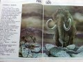 Палеонтология в картинки - И.Яковлева - 1984г. , снимка 4