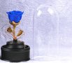 Вълшебна неувяхваща роза в стъкленица с LED светлина, снимка 3
