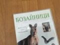 БОЗАЙНИЦИ ДВД 0212251506, снимка 3