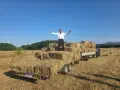 бали сено и люцерна , снимка 1