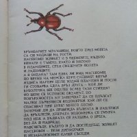 Ентомология в картинки - В.Танасийчук - 1987г. , снимка 3 - Детски книжки - 38938271