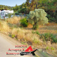 Астарта-Х Консулт продава парцел в района на Агиос Николаос Халкидики-Ситония Гърция , снимка 2 - Парцели - 44745330