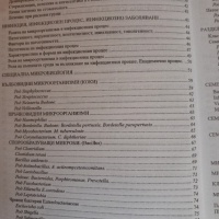 Микробна агресия и имунна реакция в оралната област, снимка 5 - Специализирана литература - 43949717