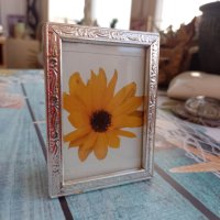 метална фото рамка със слънчоглед, снимка 4 - Декорация за дома - 40970260