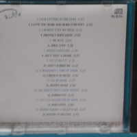 Pat Boone(Big Band, Swing)-2CD, снимка 5 - CD дискове - 44734089