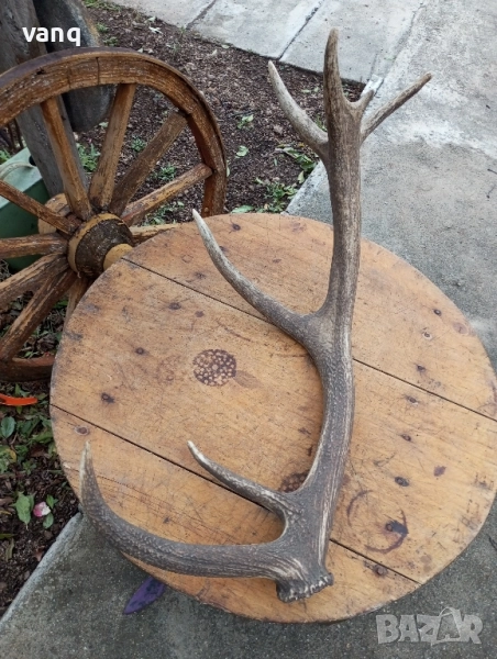 Еленски рог, снимка 1
