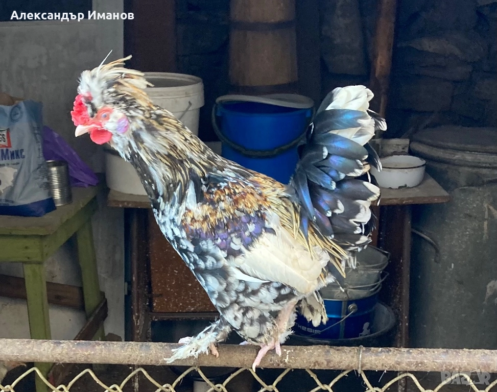 Петли, снимка 1