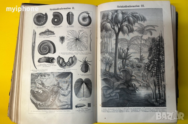 Стара Книга Справочна Работа с Общи Познания 1897 г., снимка 11 - Антикварни и старинни предмети - 52787433