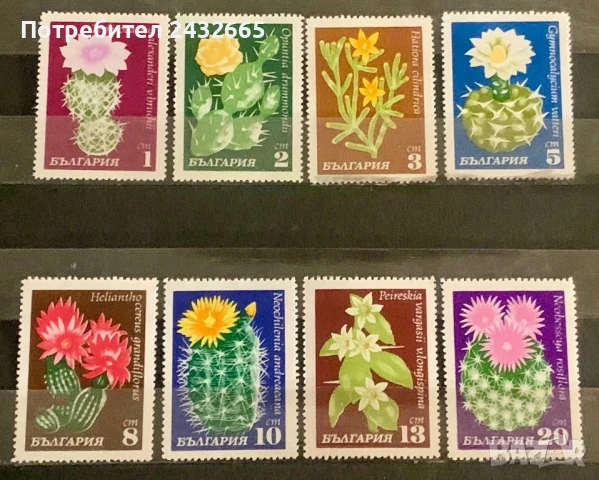 2632. България 1970 = БК 2057 /64 : ” Флора. Кактуси. ”, **, МNH