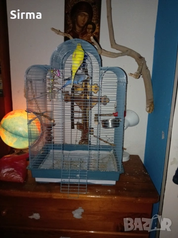 Вълнисти папагали с клетка, хранилка, поилка и играчки