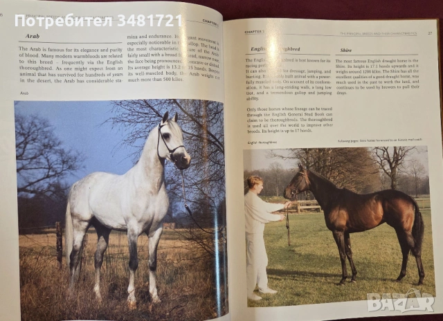 Конете и конните спортове / The Horse and Equestrian Sport, снимка 5 - Енциклопедии, справочници - 53748615