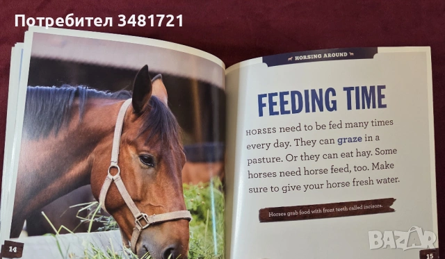 Грижа за конете / Caring for Horses, снимка 7 - Енциклопедии, справочници - 53748583