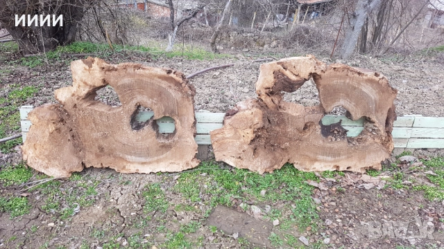 Шайби от орех, снимка 10 - Декорация за дома - 52158289