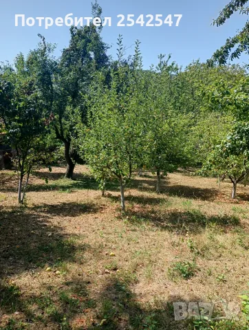 Продавам ПАРЦЕЛ в с.Типченица област Враца , снимка 6 - Парцели - 55648311