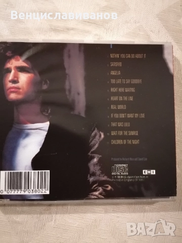 RICHARD MARX-REPEAT OFFENDER /ОРИГИНАЛЕН ДИСК , снимка 6 - CD дискове - 52630654