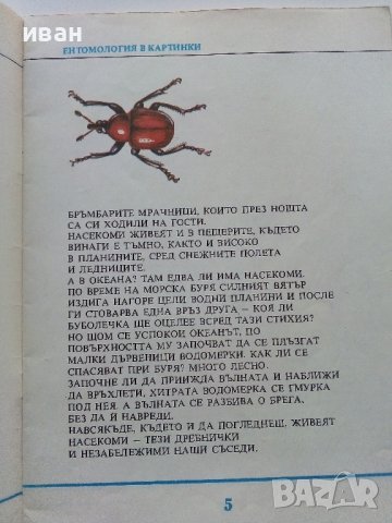 Ентомология в картинки - В.Танасийчук - 1987г. , снимка 3 - Детски книжки - 38938271