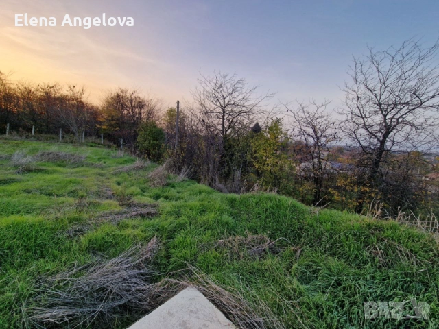 Два парцела в с. Чешнегирово, УПИ 1085 кв, УПИ 2036 кв, снимка 11 - Парцели - 52515241