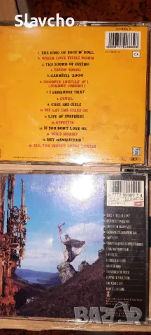 Дискове на -  Prefab Sprout 1992/ Thunder - Laughing on Judgment Day ''92, снимка 10 - CD дискове - 40692043