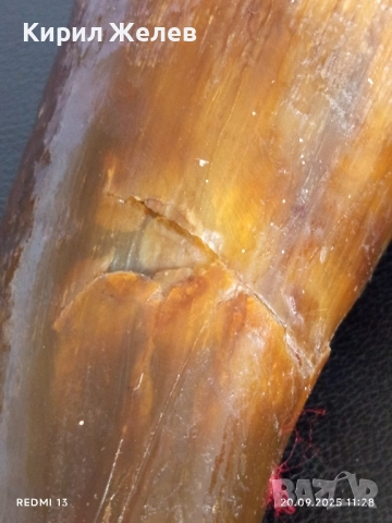 Винтидж чаша от стар кравешки рог за КОЛЕКЦИЯ ДЕКОРАЦИЯ 50647, снимка 5 - Други ценни предмети - 51776319