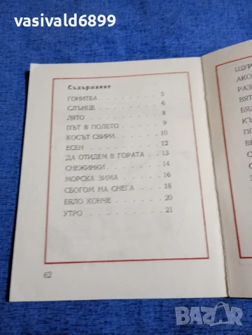 Илия Буржев - Момче с делфин , снимка 5 - Детски книжки - 51343676