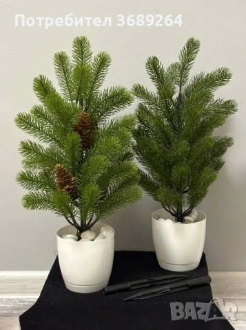 Декоративни елхи