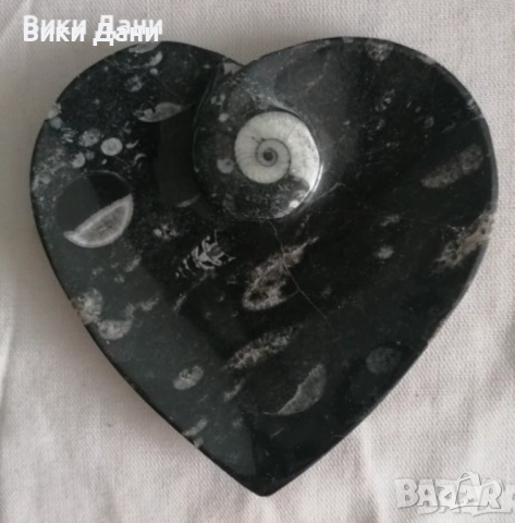 часовник минерали 50 милиона години вкаменелости , снимка 10 - Антикварни и старинни предмети - 38398414