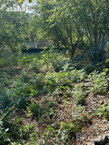 Оране фрезоване и мулчиране на дворове