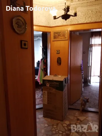продавам дървена ламперия от коридор,врати,вграден голям масивен шкаф, снимка 3 - Шкафове - 47405941