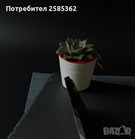 iPhone 12 Pro Max 256 GB Graphite / 100% Батерия / Перфектен технически, снимка 5 - Apple iPhone - 53584010