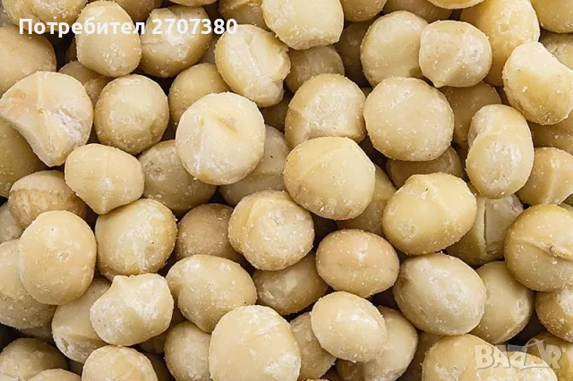 Макадамия с черупка, снимка 2 - Домашни продукти - 55833974