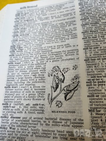 Webster's New World Dictionary of the Amеrican language -голям речник на американския език 1728 стр, снимка 5 - Чуждоезиково обучение, речници - 41167964