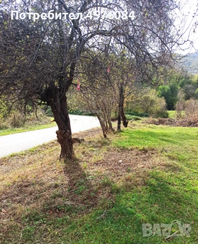 Продавам имот гр. Берковица, снимка 5 - Парцели - 51493661