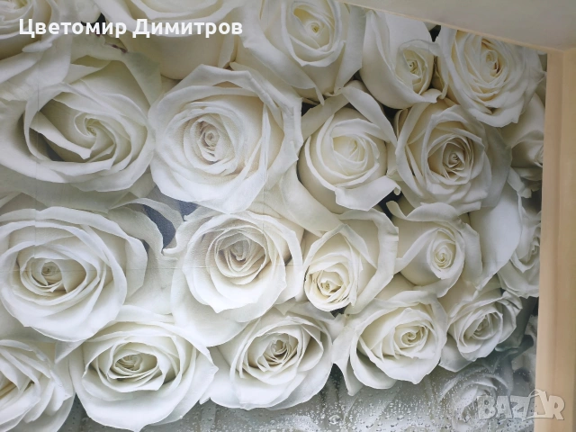 Къща под наем с двор, снимка 6 - Къщи - 53322997