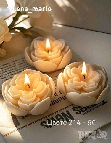 молдчета Нови модели, снимка 16 - Други - 53694841