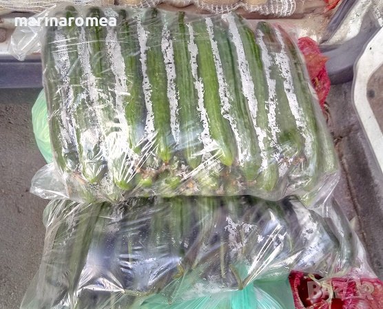 Чували за краставици, снимка 4 - Други - 42650153