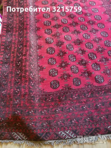 19С Рядък антикварен голям вълнен килим Бухара, 280х200см., снимка 8 - Антикварни и старинни предмети - 47812584