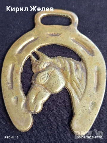 ВИНТИДЖ КОНСКИ МЕДАЛЬОН АНГЛИЯ РЯДЪК ЗА КОЛЕКЦИОНЕРИ 22927, снимка 6 - Други ценни предмети - 51195027