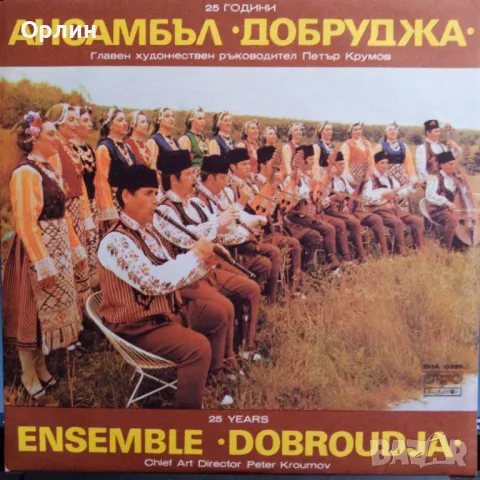 Грамофонни плочи - народна музика 4, снимка 13 - Грамофонни плочи - 49675595