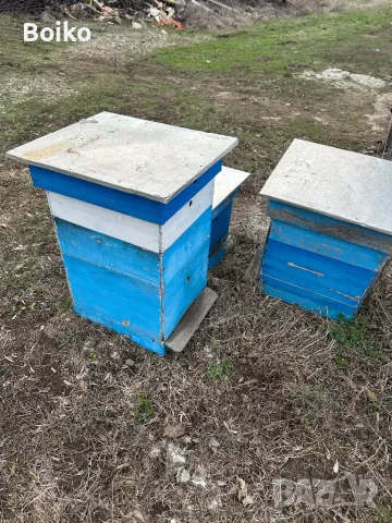 пчелни кошери, снимка 2 - Други животни - 47840160