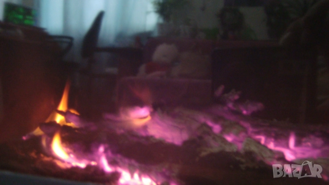 Дървесна пепел, снимка 2 - Тор и почвени смеси - 52720084