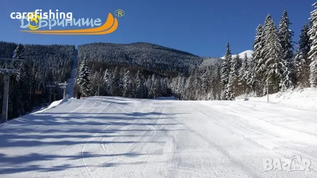 Ски учител Добирнище - х. Безбог х. Гоце Делчев, снимка 4 - Други курсове - 48441729