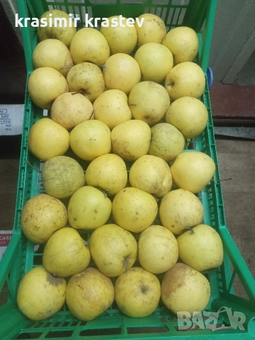 Ябълки домашни