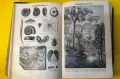 Стара Книга Справочна Работа с Общи Познания 1897 г., снимка 11