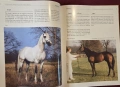 Конете и конните спортове / The Horse and Equestrian Sport, снимка 5